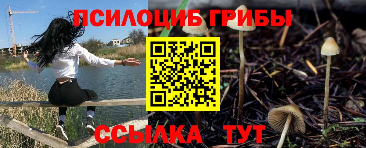 Псилоцибиновые грибы мухоморы  Вход с VPN  Сорочинск  наркотики  Псилоцибиновые грибы Magic Shrooms 