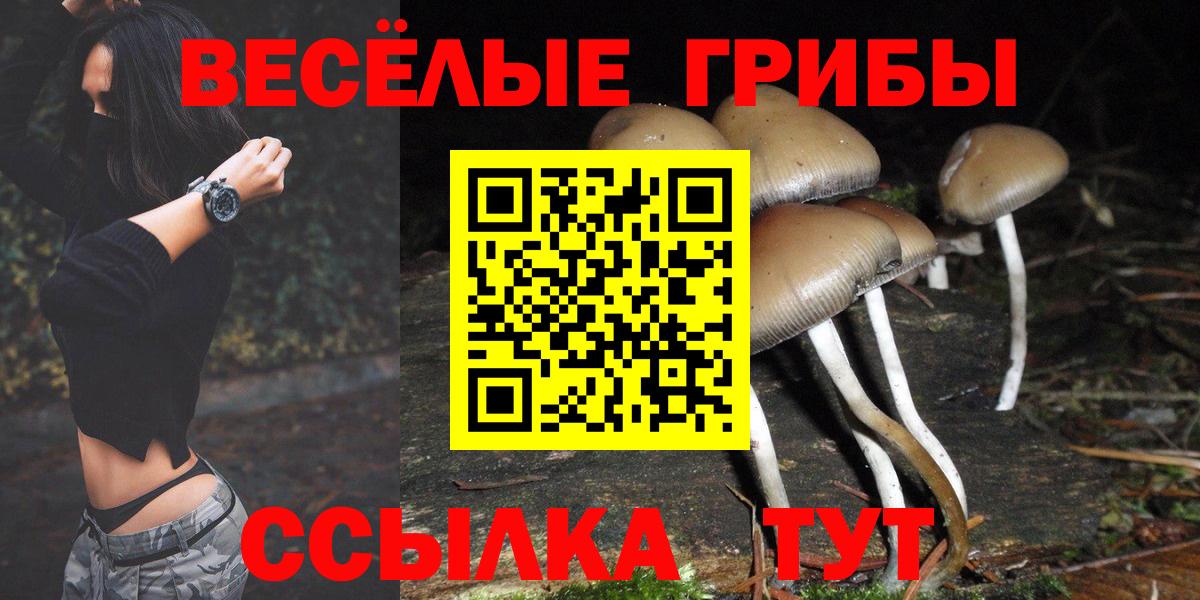 Псилоцибиновые грибы мухоморы Сорочинск